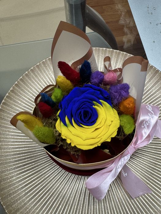 Trabdafir criogenat cu lagurus