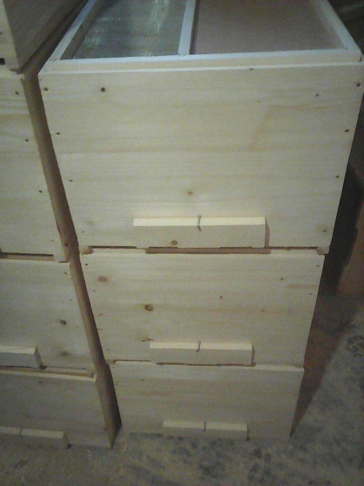 Stupi pe 10 rame  ,180 lei