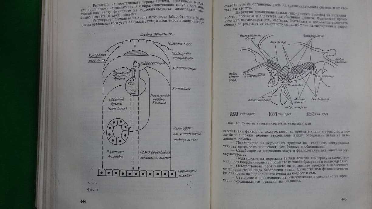 Ръководство по вътрешни болести  II том –акад.Ташев, проф.Пенчев и др.