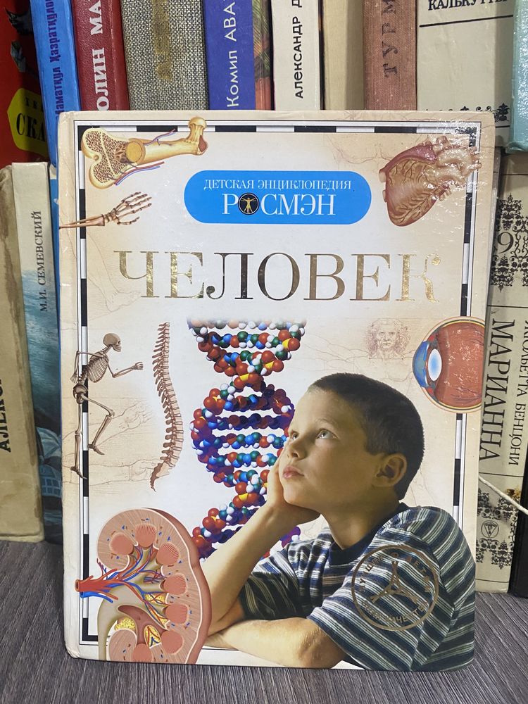 Книга «человек» в хорошем виде