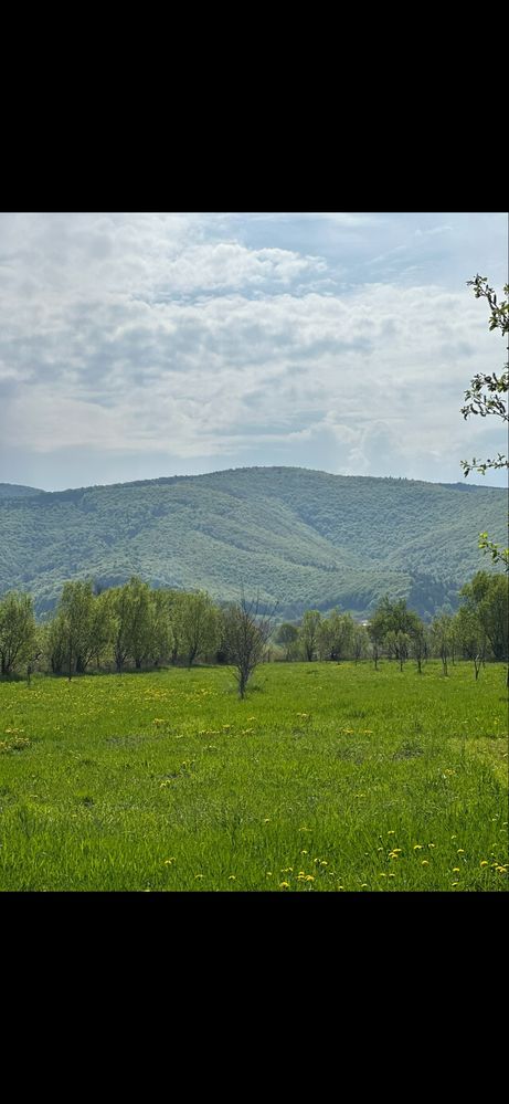 Teren 2 parcele 1400 mp- gradina cu acces la asfalt