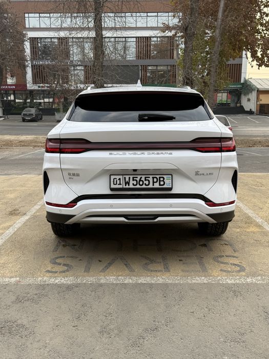 Byd Champion 605 HONOR FULL