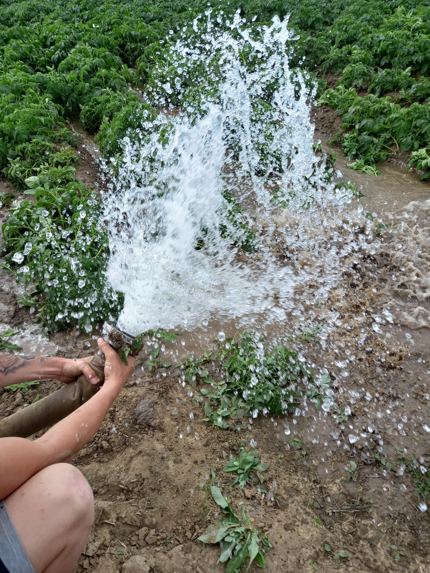 Foraje puțuri apa denisipari