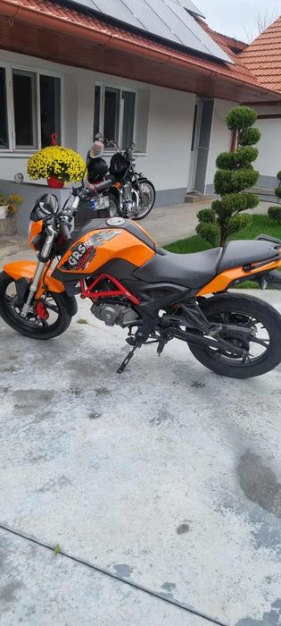 Vand grs 125 inmatriculata