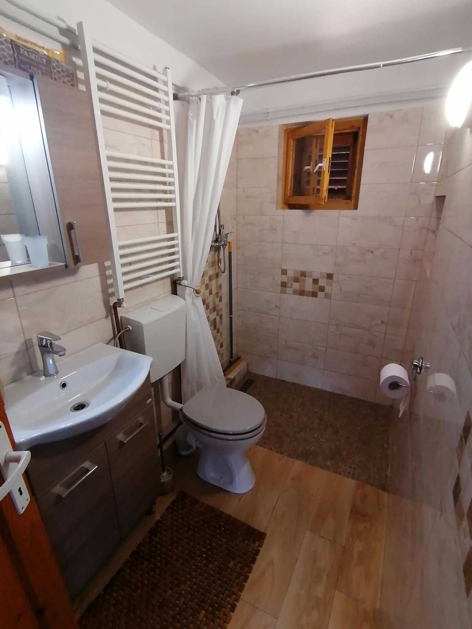 Cabana Ioana Ocna Șugatag