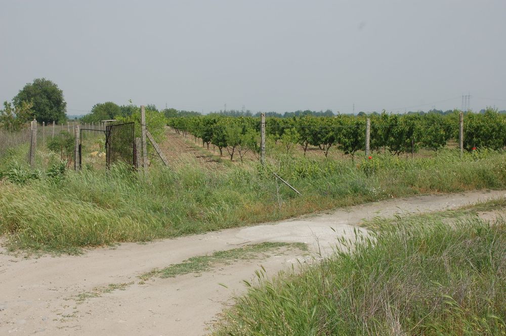 Отдавам овощна градина дългосрочно