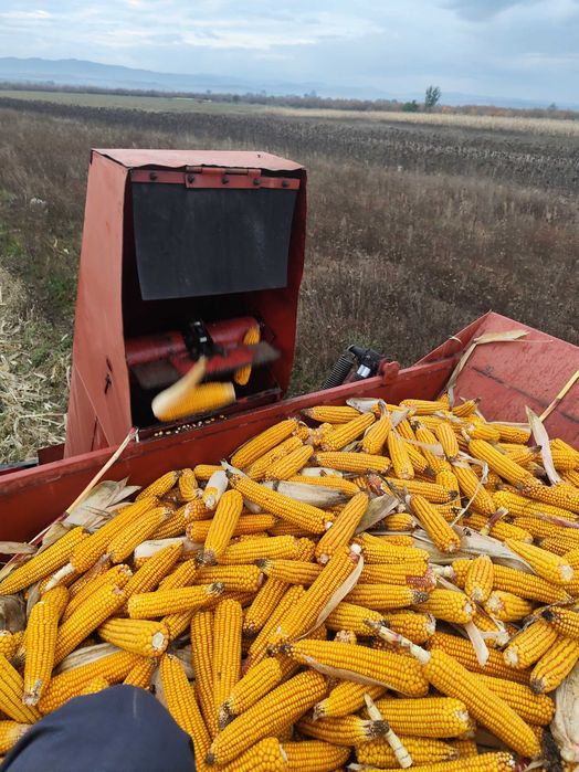 Vând culegatoare porumb SIP ECO 3500