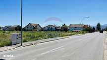 Teren intravilan 10.000 mp în Stupini, Brașov
