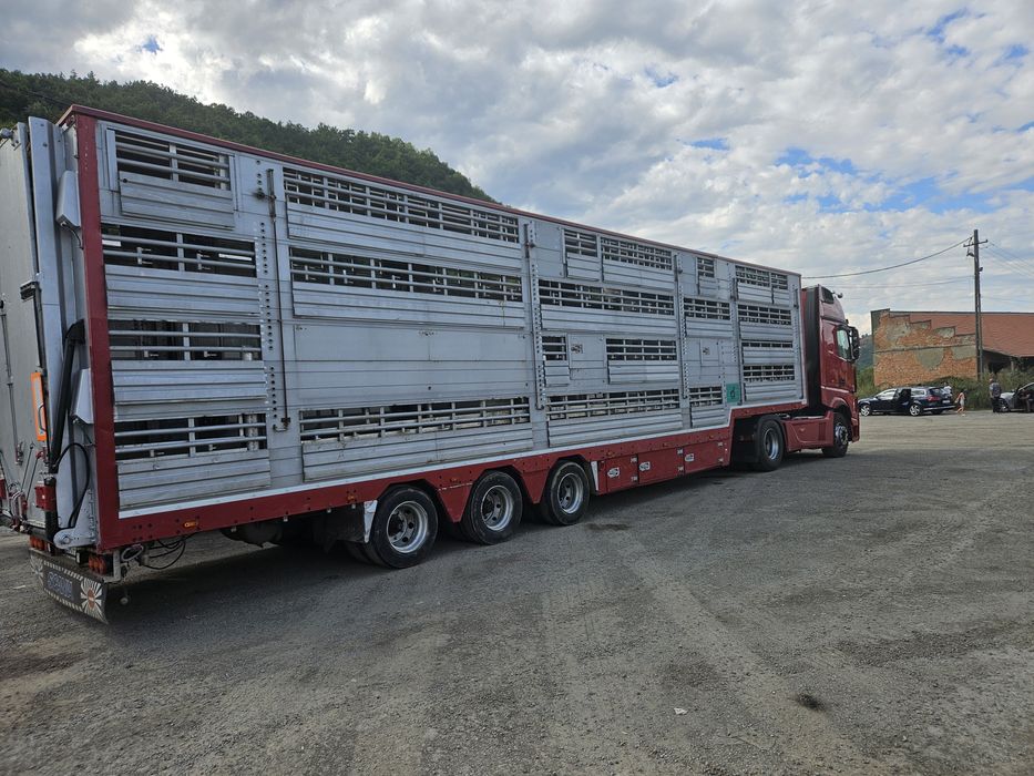 Transport animale vii