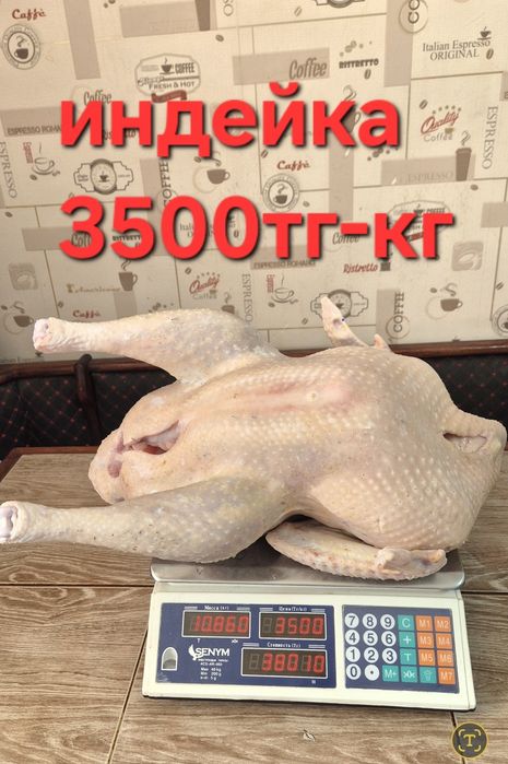 Индейка 3500тг-кг