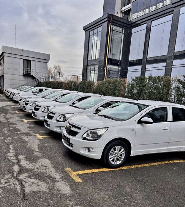 Avtomat cobalt nasiya savdo bor