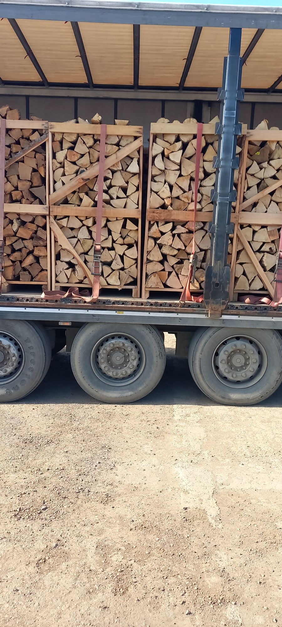 Depozit lemne de foc carbuni arad gai