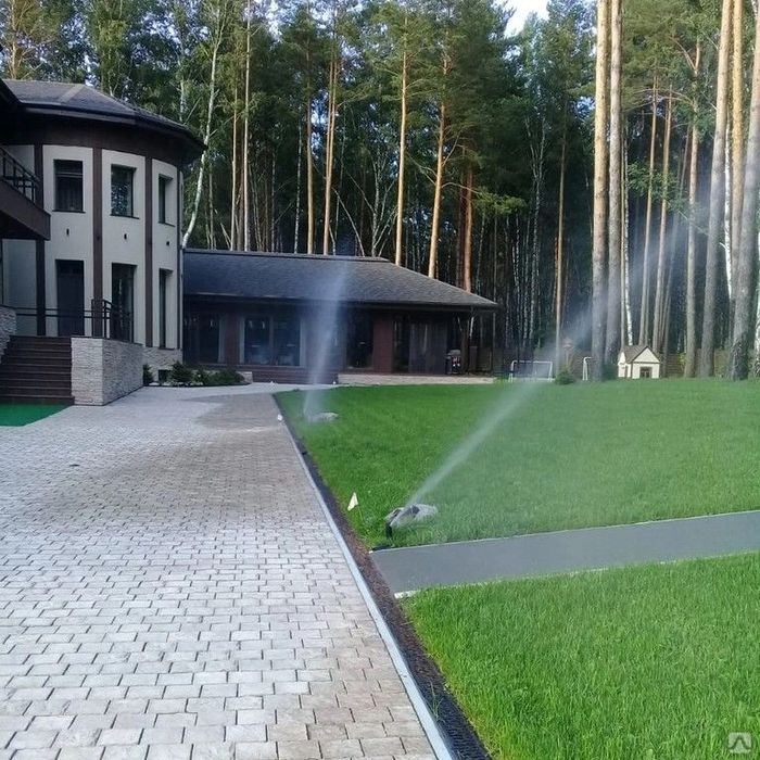 Ландшафт Озеленение Газон Автополив Деревья Ель Сосна