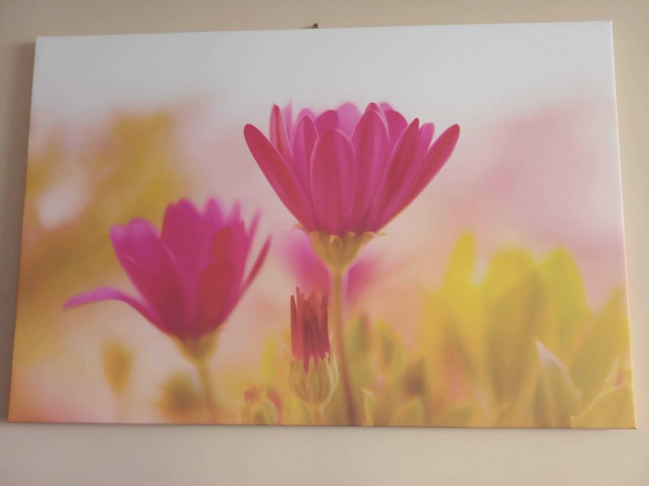 Картина 60х90 см