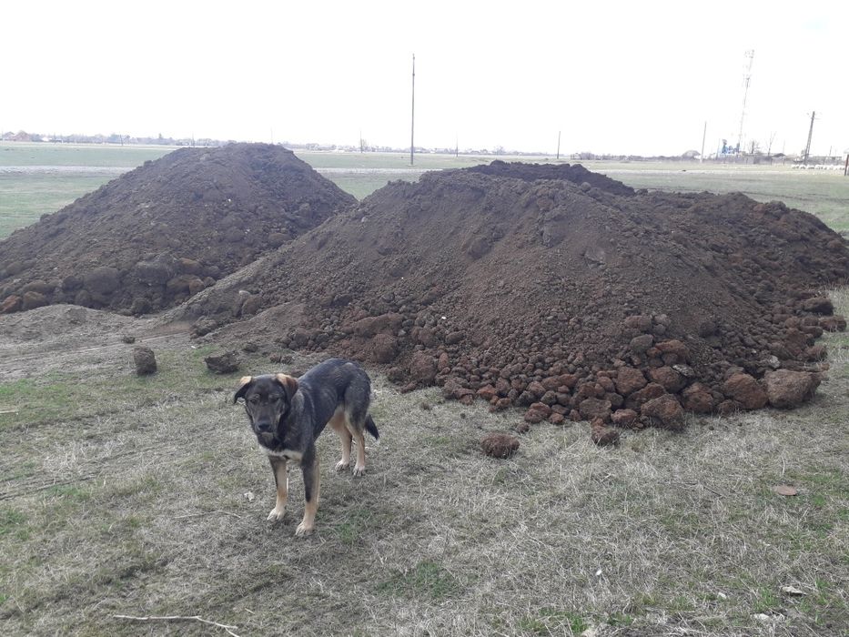 Pământ vegetal gazon