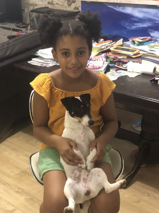 Cazare caini talie mica si medie