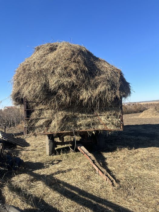 Сено продам,шөп,зеленка