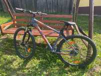 Bicicletă adulti
