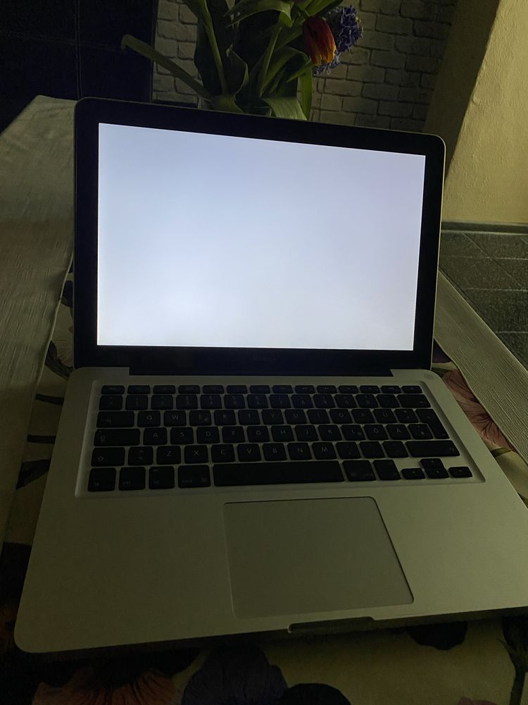 MacBook 13-inch, Aluminum, Late 2008