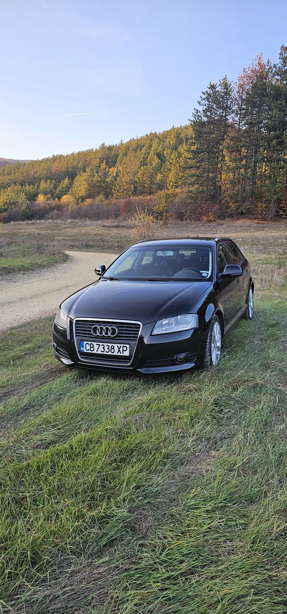 Audi A3 1.8 T FTSI 8P