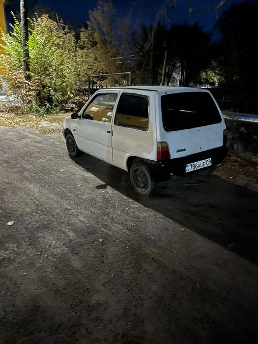 Продам оку свежее покрашена есть косики