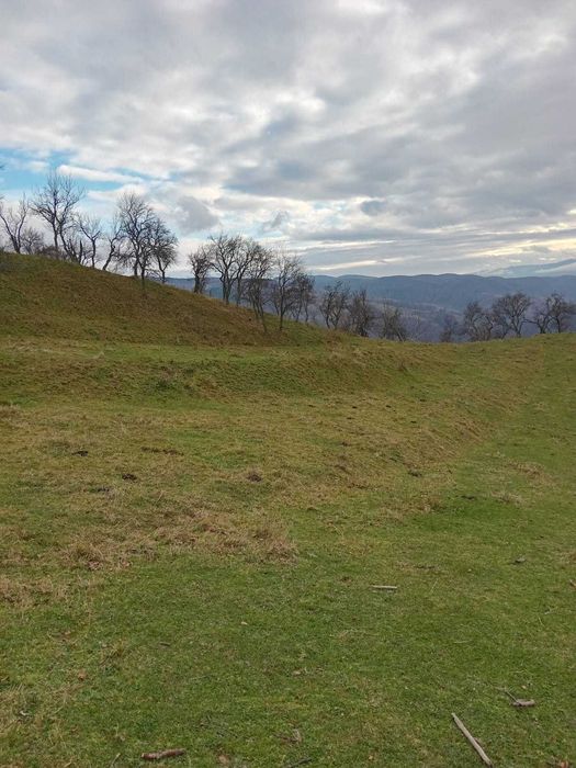 Teren de vanzare extravilan