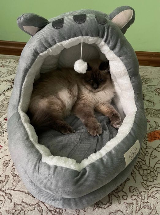 лежак ,для кошек