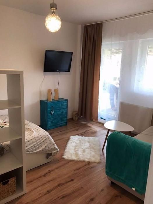 Regim hotelier apartamente in centrul orasului de la 90 ron