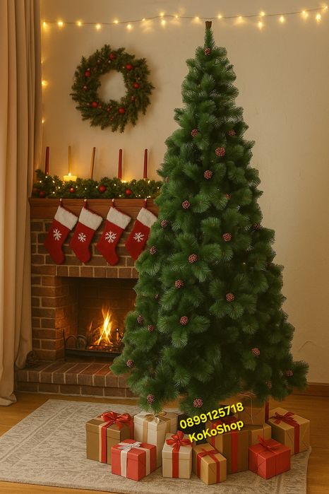 Елха с шишарки/елха със заснежени връхчета и шишарки