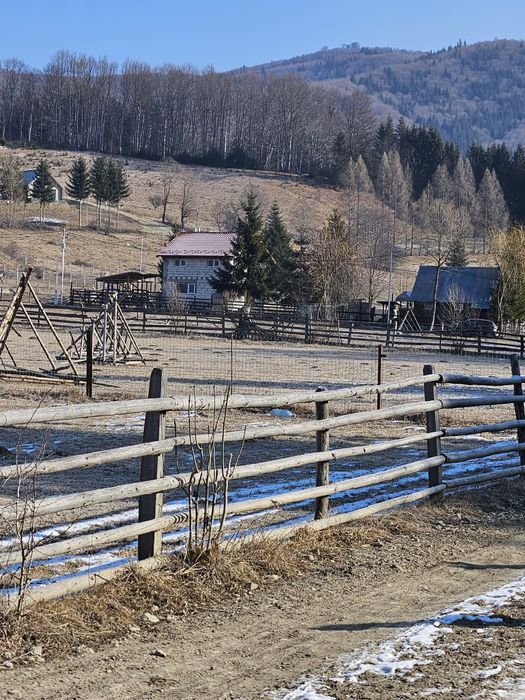 Casa de vanzare Traisteni