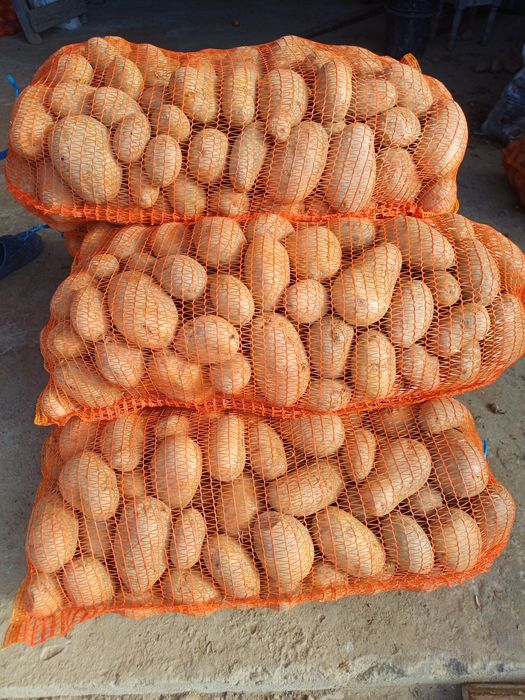 Cartofi consum alb si rosu