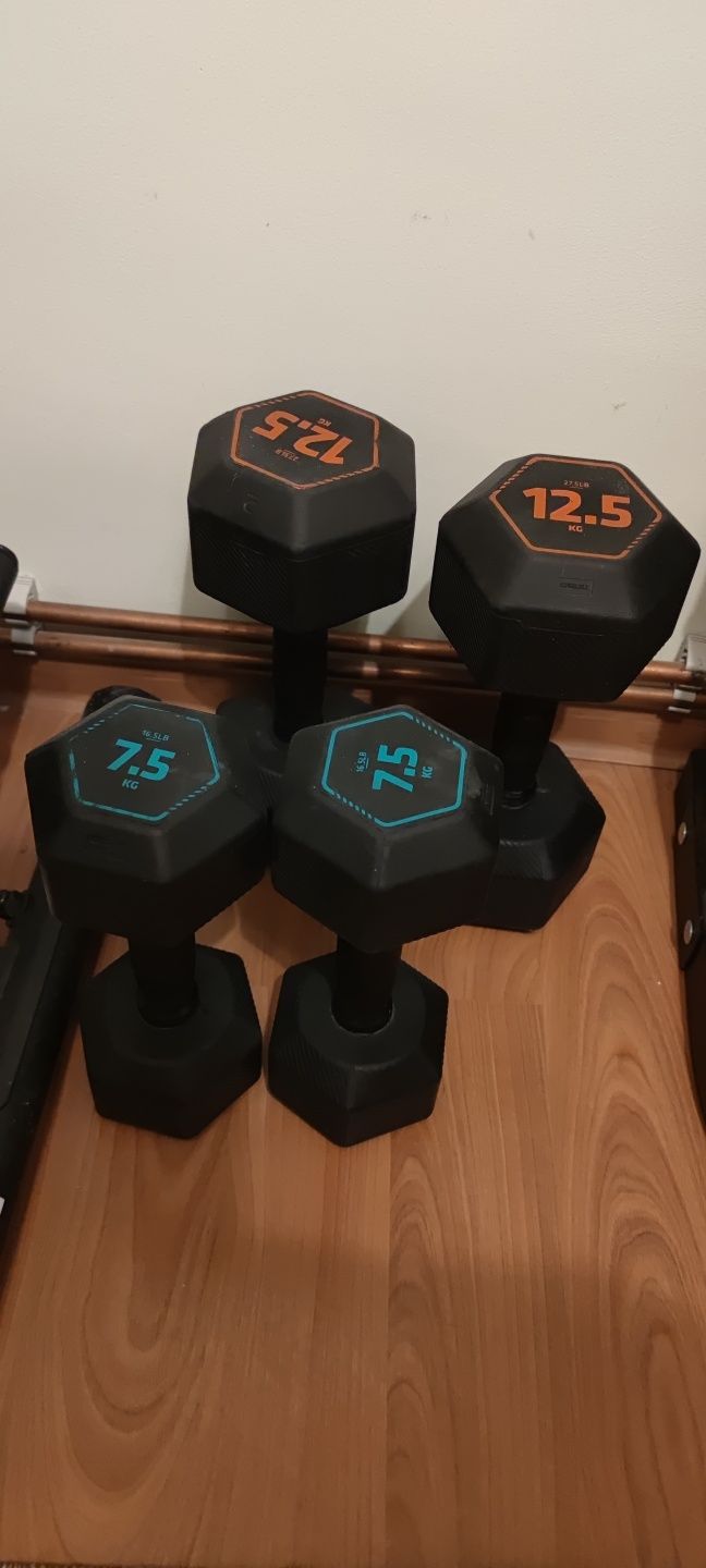 Gantere Hex Dumbbell 7,5 ; 12,5 kg