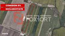 COMISION 0% Teren extravilan agricol, Sacalaz - 20.000 mp