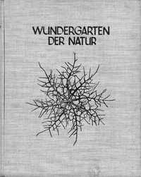 KARL BLOSSFELDT Wundergarten der Natur - 120 printuri fotografie 1932