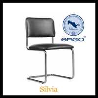 Офисное кресло/стулья Silvia,Public,Alivia
