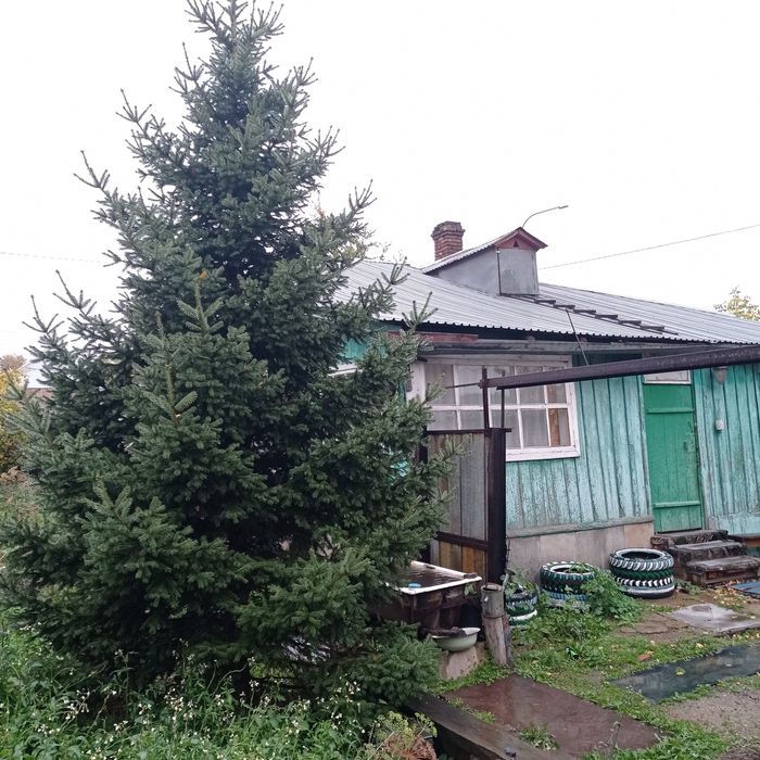 Сдам отдельно стоящий дом