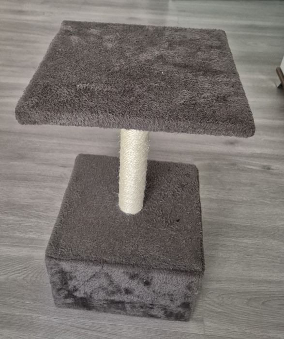 Ansamblu joaca pisici,