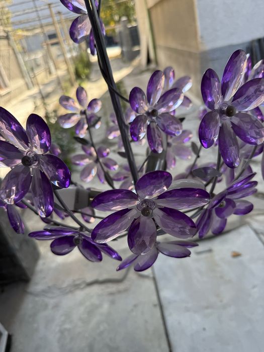 Полюлей и лампиони