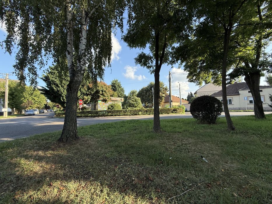 Ofer spre Vanzare Teren intravilan zona Titulescu 3.000 mp ( 30 Ari )