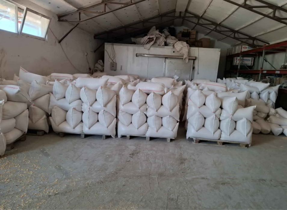 Vând Porumb uscat gata pus in saci cu transport la domiciliu