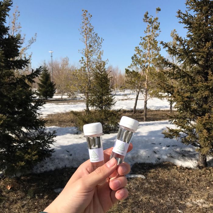 Пихтовое масло Натуральное