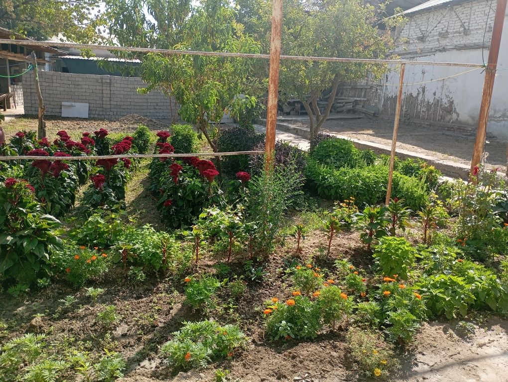 8 сотих ховли сотилади,Сергели,Кушкургон,фасад 17 м,1 сотихи:28 500 уе
