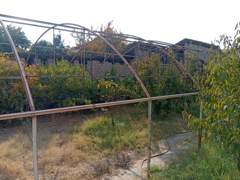 Теплица контейнердан