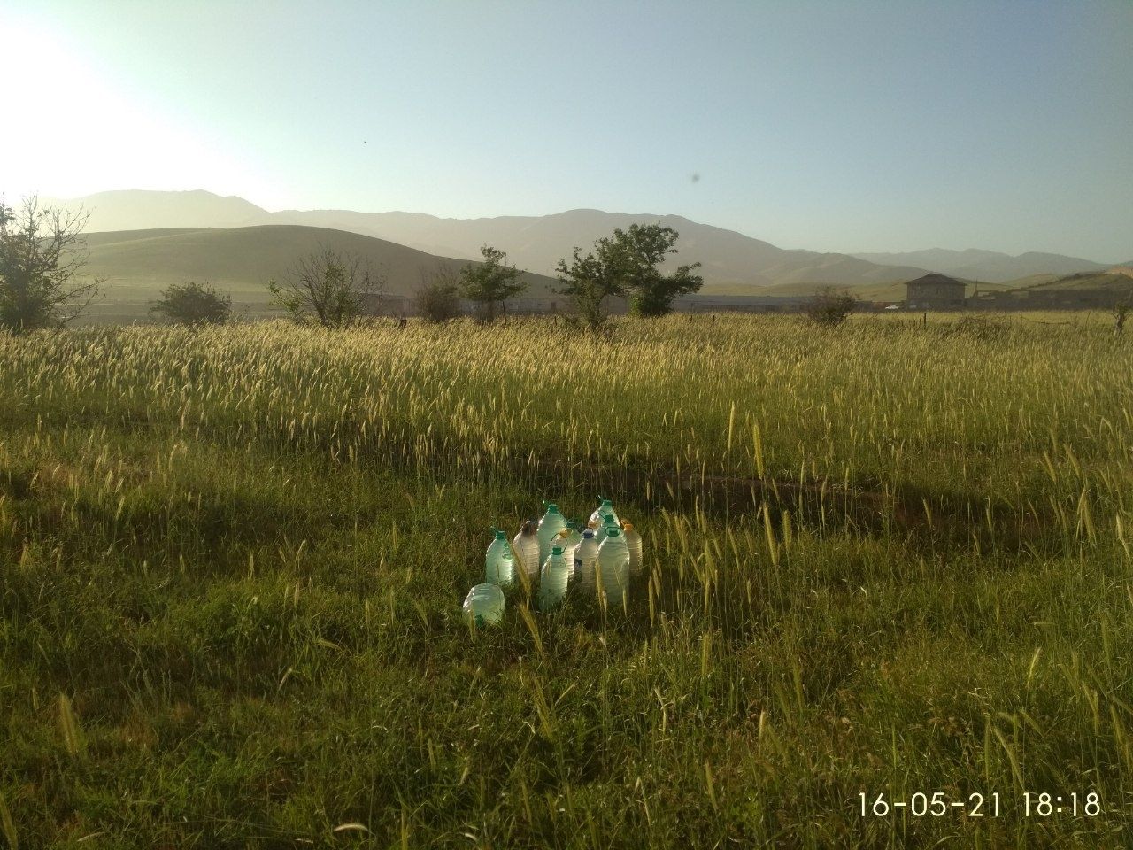 Дача  Ангрен Geologda (Bush yer)