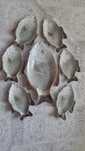 Set 7 Piese Portelan ( facut in Romania )