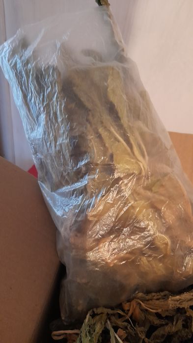 Продукты питания