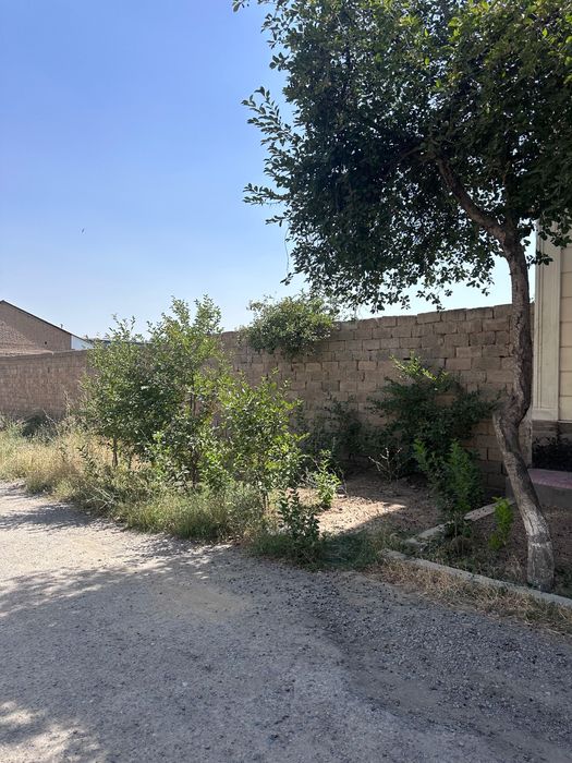 Quruq yer sotiladi 25 sotix