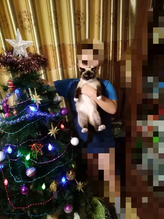 Ёлка б/у продам,