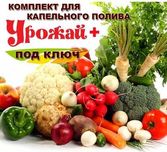 Все для капельного полива участка