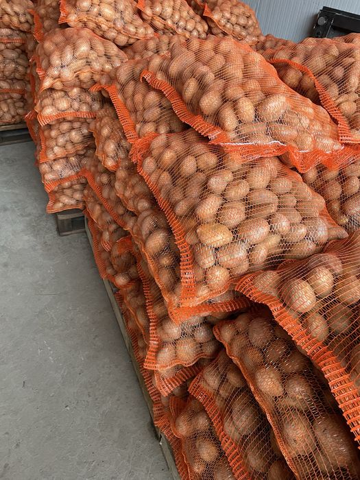 Cartofi consum proaspat